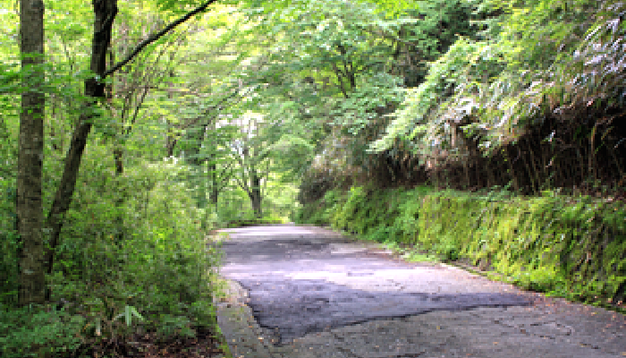 神奈川県足柄下郡箱根町（山林）10,231㎡